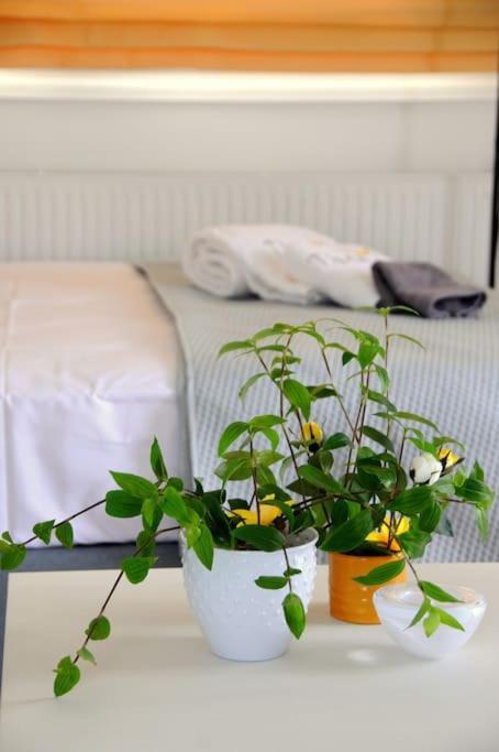 Thea Cozy Apartment *