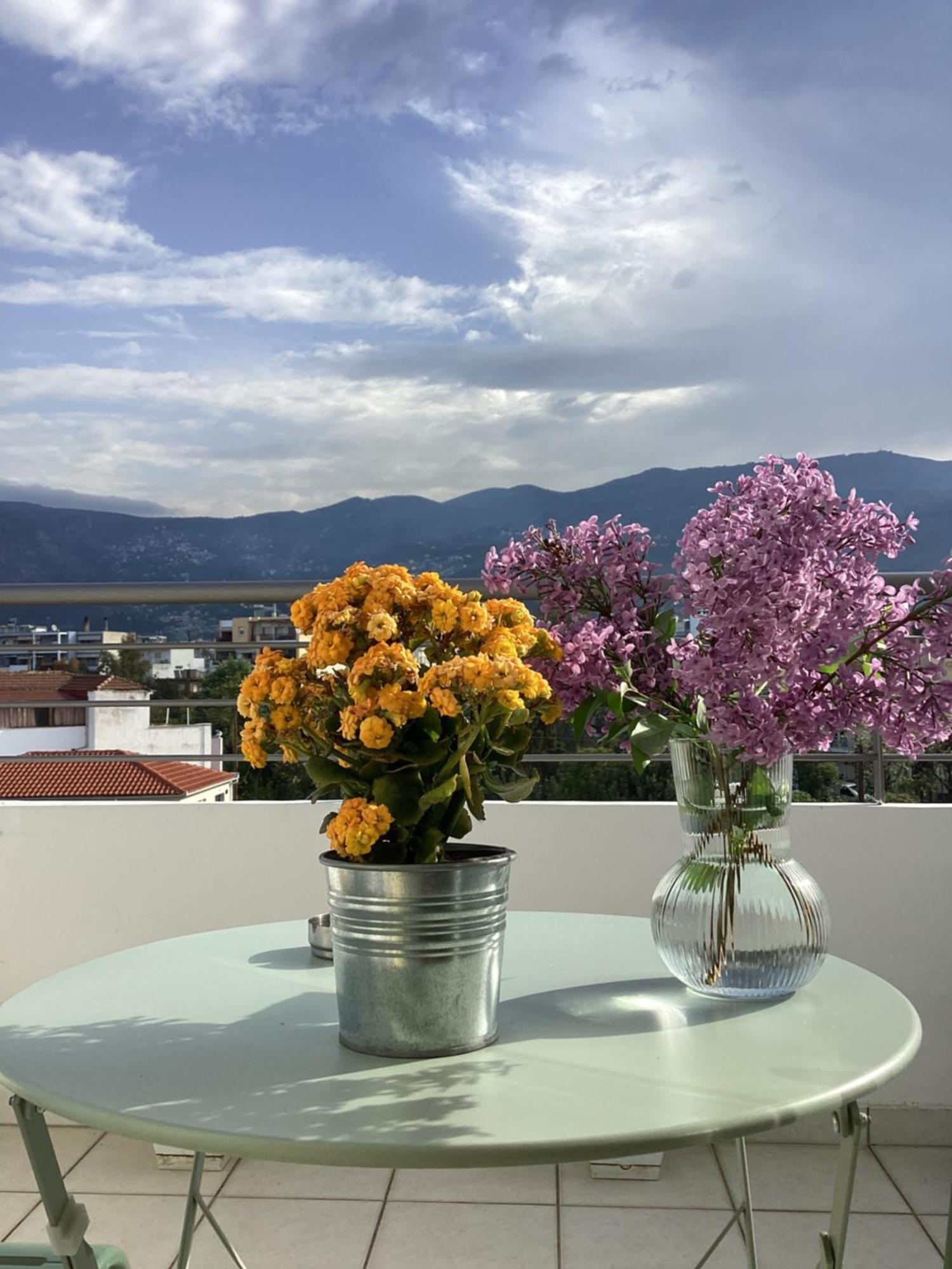 Thea Cozy Appartement